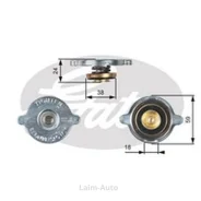 ������ ��������� RC113 ����