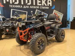 FXmoto Wasp