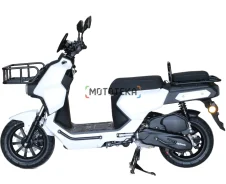 Regulmoto Zoomer