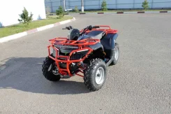 Irbis ATV250