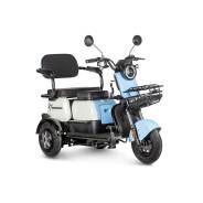 RuTrike