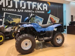 Irbis ATV250