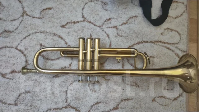 �����. ����