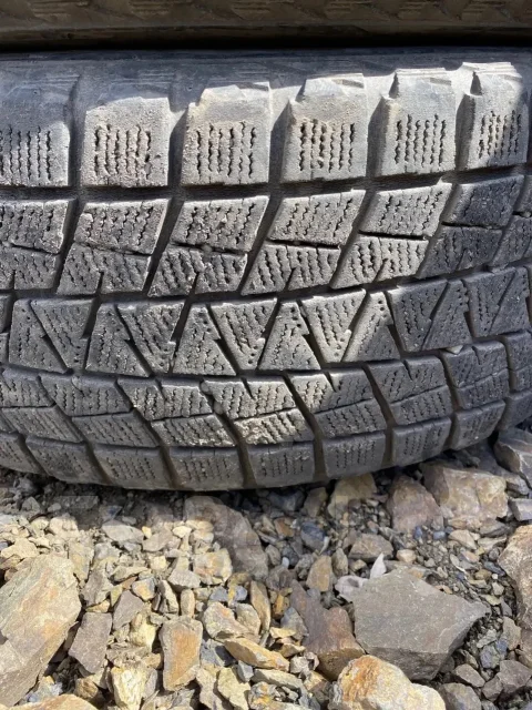 Bridgestone Blizzak DM-V1. ������, ��� �����, �/�, ����� 35 % ����