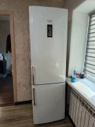������������. ����