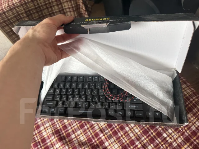 ����������. ����