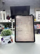 Apple iPad Pro 11 2018. 11 ������, ������ 256 �� ����