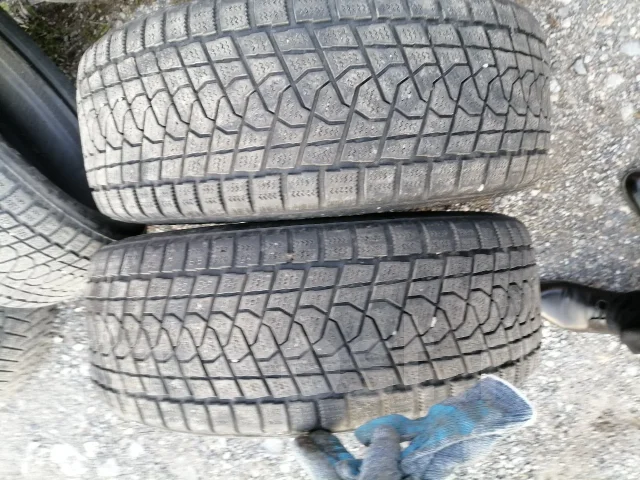 Triangle TR797. ������, ��� �����, 2023 ���, �/�, ����� 45 % ����