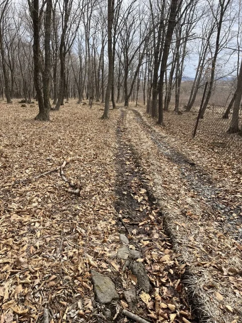 ������� ��� ���. 14.3����., ��� ��������������� ��������� �������������, ������ ����