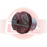 ����������� Asva, ���. 0701-RSR 0701RSR ����