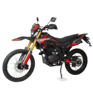 Motoland Blazer 250