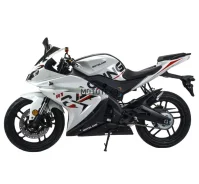 Motoland R1 Pro