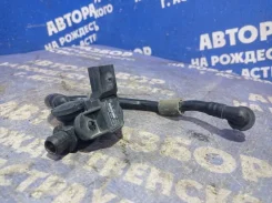 ������ ����������� �������� Volkswagen Passat B5 2001 036906051 ��������� 036906051 ����
