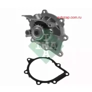 ����� 538007710 ����