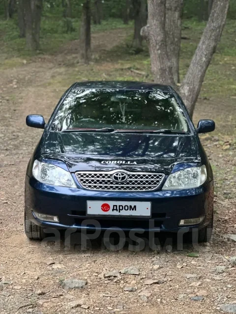 Toyota Corolla. �������, ��������, 1.6 (110��.�.), ������, 317 824����. �� ����