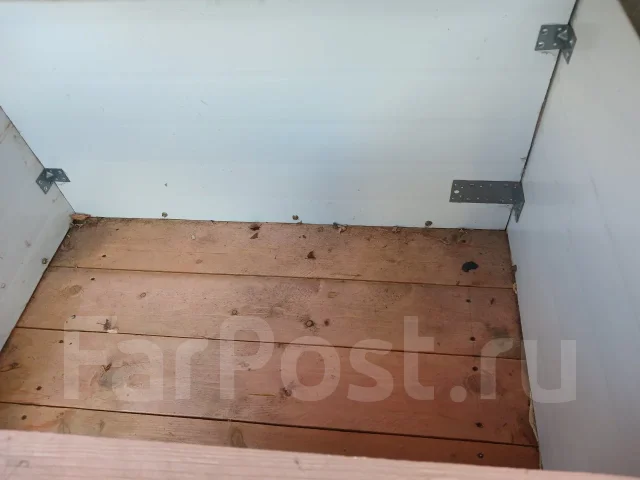�����. ����