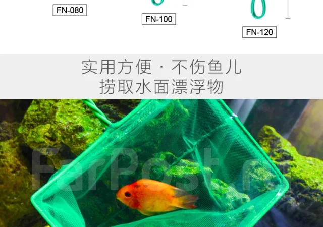 �����. ����