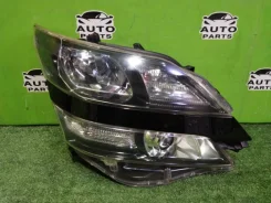 ���� Toyota Vellfire 2010 5823 ANH20 2AZFE, �������� ������ 5823 ����