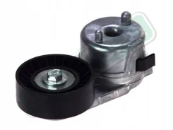 ���������� ���������� ����� WJ 4.0L | Dayco | APV2488 APV2488 ����