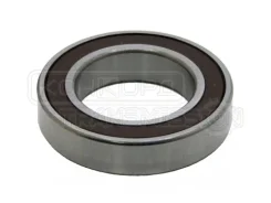 ��������� ���������� ��������� | NSK | 484-BRG04-NS-DM | 6009Dducm 6009DDUCM ����
