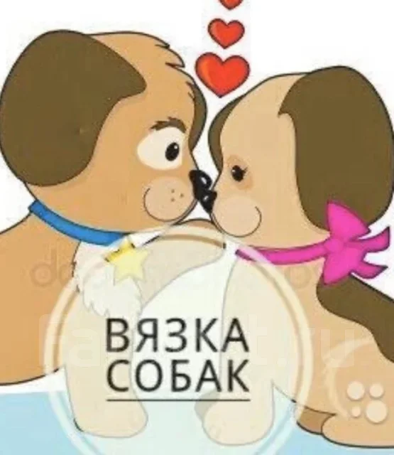 ����� �����. ����