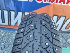 Tigar Ice. ������, ����������, 2021 ���, �/�, ����� 10 % ����