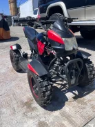 Yamaha Grizzly. ����������, ��� ���\���, �� ����