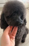 ������. ����