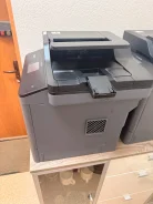 ��� ��������. ����