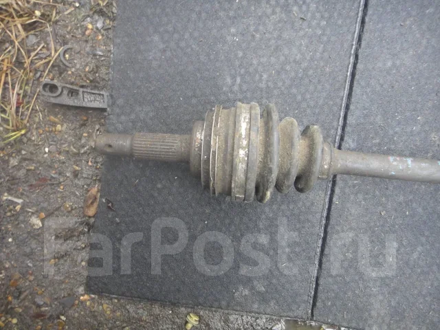 ������ ������ 4234032080 ����