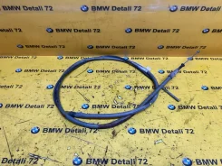 ���� ������� BMW X5 2006 34416751843 E53 M54B30, ������ 34416751843 ����