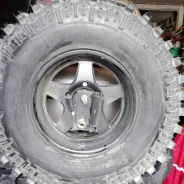 Mazzini Shark-Z02. ����� rt, ����� ����