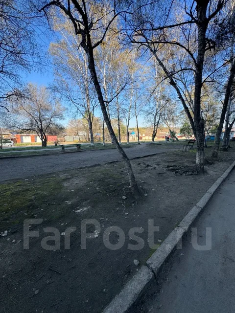 1-���������, ����� ���������� 84. �����, ���������, 32���.��., 1/5 ���� ����