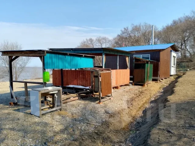 �����. ����