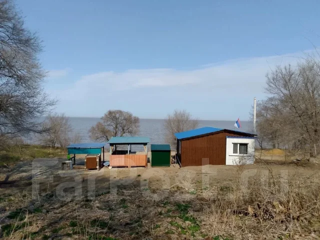 �����. ����