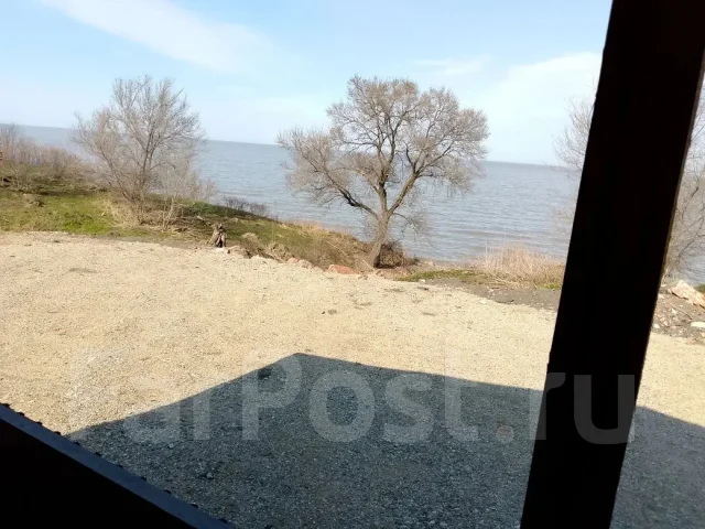�����. ����