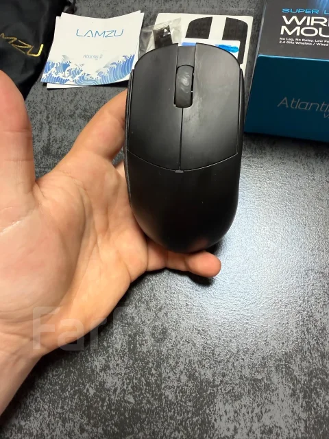 ���� �������. ����
