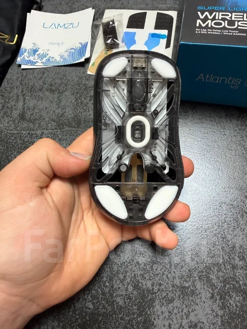 ���� �������. ����