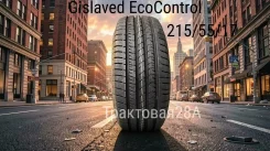 Gislaved EcoControl. ������, 2025 ���, ����� ����
