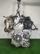 ���������� ������������ Volkswagen Tiguan 2024 3Q0816803E ����