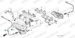 ������ �������� ����������� (Denso) 36531-PL2-013 36531PL2013 ����