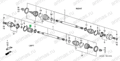 ����� ���������� 44325-SD4-003 44325SD4003 ����