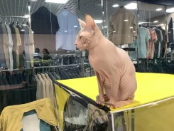 ������� ������. ����
