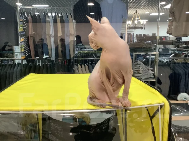 ������� ������. ����