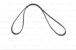 ������ ������������ 1987947930 1987947930 ����