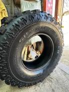 Interco TSL. ����� mt, 2014 ���, �/�, ����� 50 %. �������� ������ ����