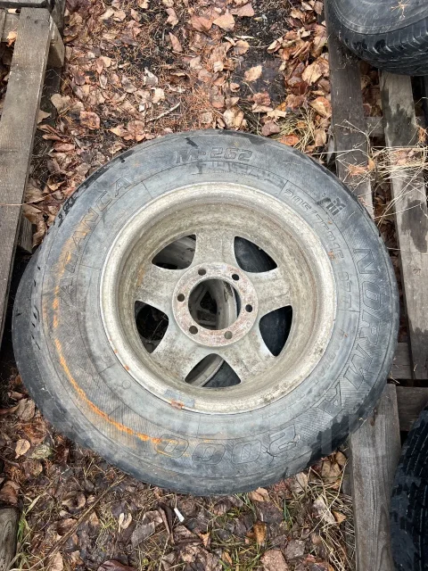 Blitz. x15" ����