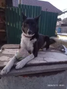 ������. ����