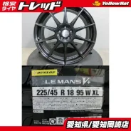 Bridgestone Potenza Adrenalin SW010