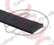 ������ ������������ 8PK1520HD 8PK1520HD ����